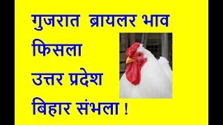 GujratChhatisgarh Broiler Rates  Egg Rates  Bihar Broiler Price  UP Broiler 2732018 [upl. by Thurstan]