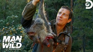 Bear Grylls JawDropping Hunt for a Wild Pig  Man Vs Wild  Discovery [upl. by Niltyak]