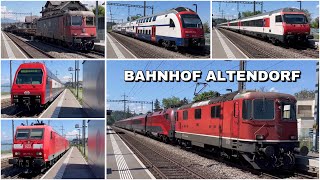 Züge beim Bahnhof Altendorf  Trains at Altendorf station 2024 [upl. by Sapphira]