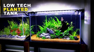 Aquascape Tutorial Beginner Java Fern  Anubias Aquarium How To Step By Step Planted Tank Guide [upl. by Itsirc]