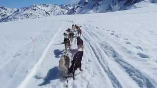 Dog Sledding on Punchbowl Glacier Girdwood Alaska 2013 HD [upl. by Lavona]