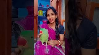 Pada jeena tere bin 😍🦜youtubeshorts trendingshorts parrotlover sneha 30 [upl. by Woodward882]