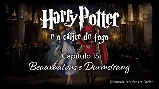 Harry Potter e o Cálice de Fogo  Capitulo 15  Beauxbatons e Durmstrang [upl. by Mell]