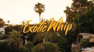 ExoticWhip  Become a distributor [upl. by Deer]