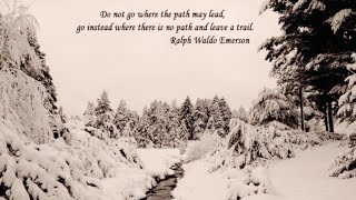 Ralph Waldo Emerson Quotes That Will Change Your Perspective on Life [upl. by Dysart966]