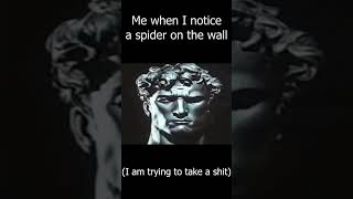 When I Notice A Spider On The Wall [upl. by Dranal]