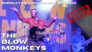 The Blow Monkeys LIVE Burnley Mechanics 6th April 2024 livemusic blowmonkeys [upl. by Osnofla]