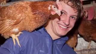 Course Poultry in the Netherlands Groenhorst Barneveld [upl. by Nolte]