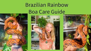 Brazilian Rainbow Boa Care Update [upl. by Aratehs]