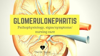 Glomerulonephritis Patho Signssymptoms nursing care [upl. by Edouard]