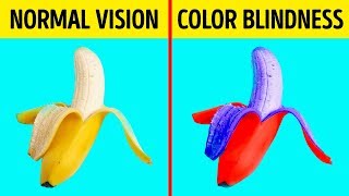 How Color Blind People See the World [upl. by Norbie]