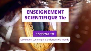 L’évolution une grille de lecture du monde Enseignement scientifique Tle [upl. by Eillor]