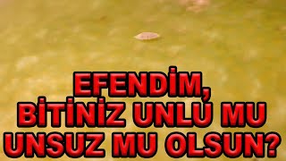 TURUNÇGİL UNLUBİTİ VE MÜCADELESİ HAKKINDA ÖZET BİLGİLER [upl. by Ahseinod]