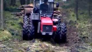 Carraro 5500 im Wald [upl. by Saunderson]