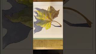 I used watercolours to bring an autumn leaf to life in all its ephemeral beauty The work began … [upl. by Tanaka]