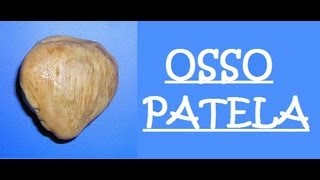 Osso patela [upl. by Reinwald582]