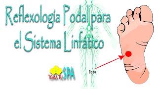 REFLEXOLOGÍA PODAL PARA EL SISTEMA LINFÁTICO [upl. by Parrisch307]