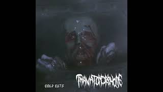 THANATOMORPHOSE GOREGRIND  Cold Cuts double EP 2024 [upl. by Akcirret]