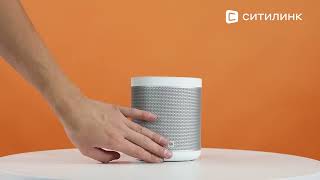 Обзор Умной колонки Xiaomi Mi Smart Speaker L09G  Ситилинк [upl. by Lyrahc137]