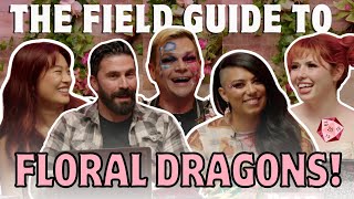 The Field Guide to Floral Dragons  Hit Play ONE SHOT [upl. by Elkraps]