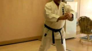 Larry Davenport Karate Studio [upl. by Nwahsd]