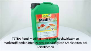 TETRA POND MediFin 3 L  Produktvideo  360°Ansicht [upl. by Sergio]