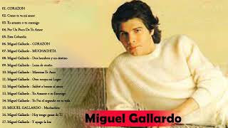 Miguel Gallardo Best Of 2022  Las mejores canciones de Miguel Gallardo [upl. by Laohcin199]