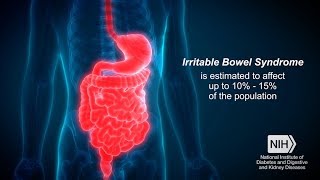 What’s IBS [upl. by Zobkiw]