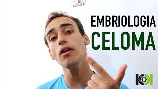 Embriologia  O Celoma [upl. by Brennen]