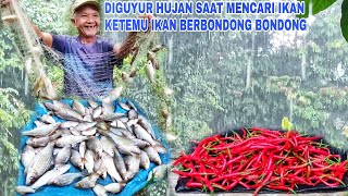 DIGUYUR HUJAN SAAT MENCARI IKAN KETEMU IKAN BERBONDONG BONDONG [upl. by Benzel201]