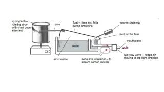 spirometer trace AS OCR Biology WHS [upl. by Laram]