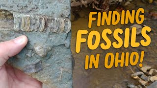 Finding Fossils in Ohio [upl. by Anotyal]