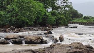 Gadeshwar river at panvel [upl. by Euginimod853]