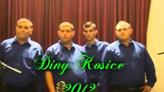 Diny Košice NEW 2012 Mix Čardáše [upl. by Nnaasil]