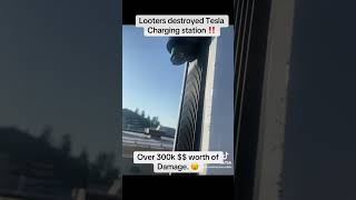 Looters vandalized Tesla charging stations over 300k worth of damage [upl. by Mali]