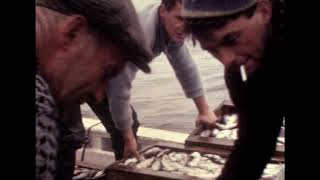 St Abbs in 1965  Trip out on the Rachael Douglas [upl. by Neelsaj91]