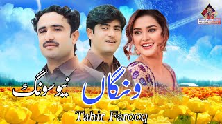 Wangan  Tahir Farooq New Song 2024  New Saraiki Song 2024 [upl. by Olds671]