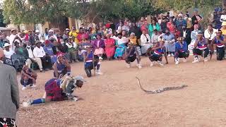 Roma Juno Dinaka Sepedi Traditional dance [upl. by Finbar]