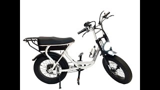 899 Best Ebike for Best Price BE734 Electric Bike by Rollgood [upl. by Ayhay]