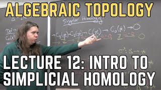 Algebraic Topology 12 Intro to Singular Homology [upl. by Kenley]