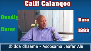 Ibidda dhaame  Asoosama Jaafar Alii  Seenaa Calanqoo hanga dargiitti [upl. by Anitsyrc]