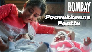 Bombay Movie Songs  Poovukkenna Poottu Song  Aravindswamy  Manisha Koirala  Nassar  ARRahman [upl. by Merideth447]