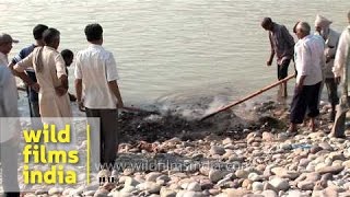 Hindu funeral rites at Chandi ghat of Haridwar [upl. by Ssidnac716]