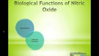 Nitric Oxide  WellBeingGPScom [upl. by Enuj]