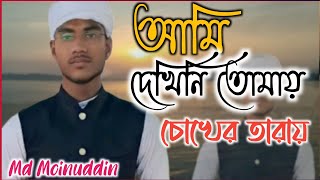 আমি দেখিনি তোমায় চোখের তারায়।। Ami dekhini tomai choker tarai [upl. by Selegna187]