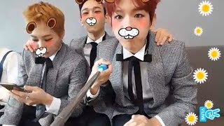 EXO  CBX EXOCBX LIVE highlight [upl. by Ydurt]