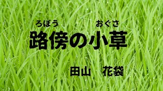 【青空文庫の朗読】田山花袋『路傍の小草』 [upl. by Kenay]