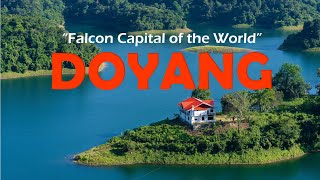 Road Trip to Doyang Wokha Nagaland  The falcon capital of the world [upl. by Dowell]