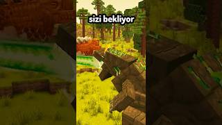 Bu Minecraft Olamaz [upl. by Leis685]