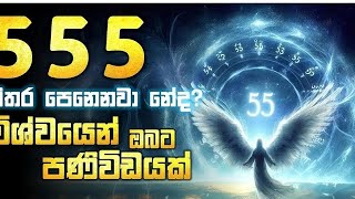 555 Angel number meaning in sinhala [upl. by Garlan861]